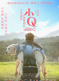 午夜小视频在线观看